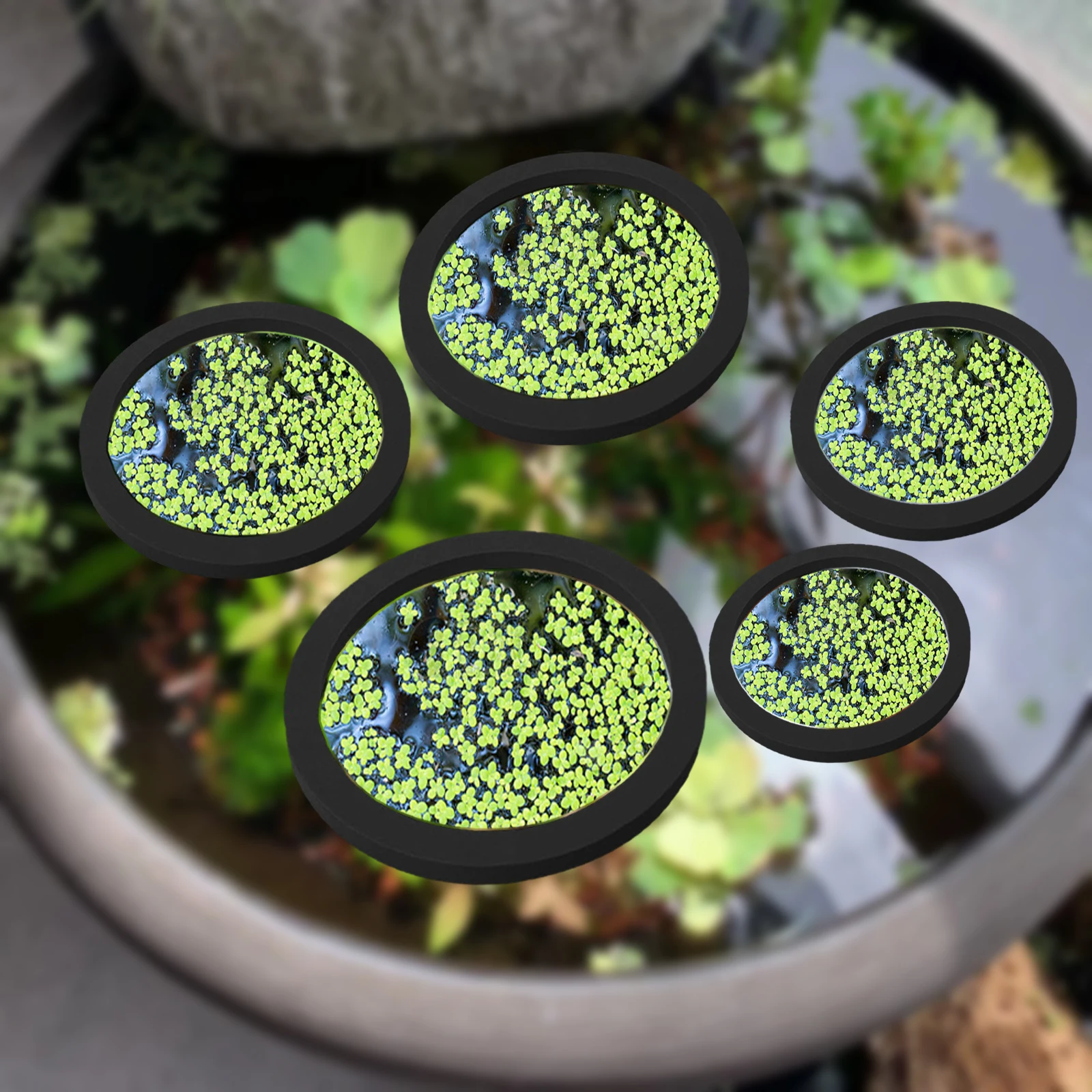 5Pcs EVA Fish Feeding Ring Aqu - Aquarium Fish Tank recension och pris