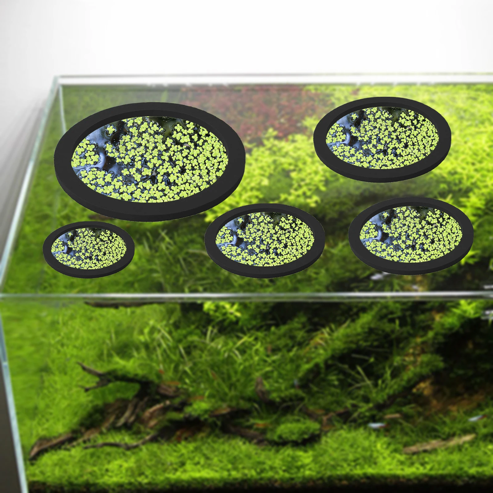 5Pcs EVA Fish Feeding Ring Aqu - Aquarium Fish Tank recension och pris