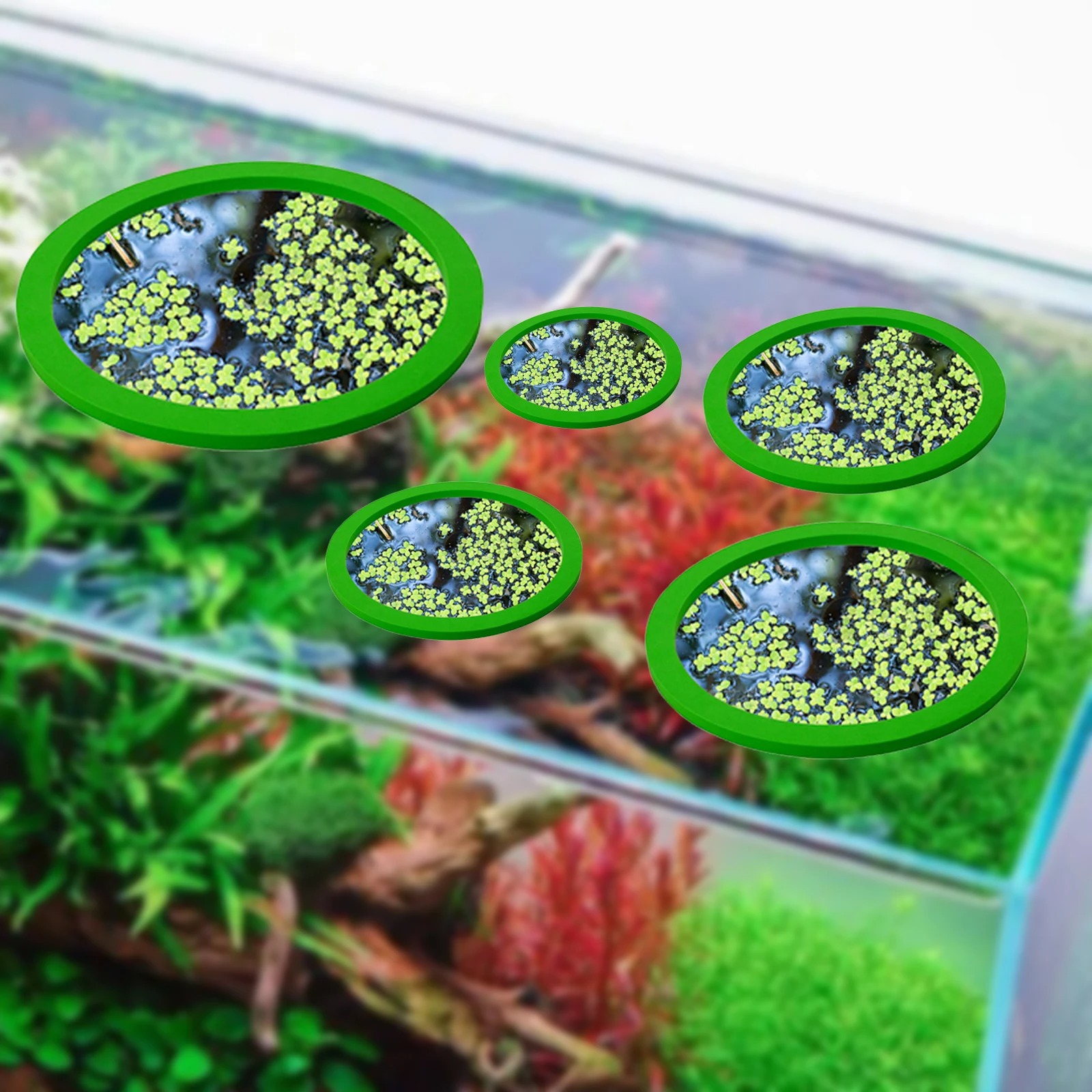 5Pcs EVA Fish Feeding Ring Aqu - Aquarium Fish Tank recension och pris